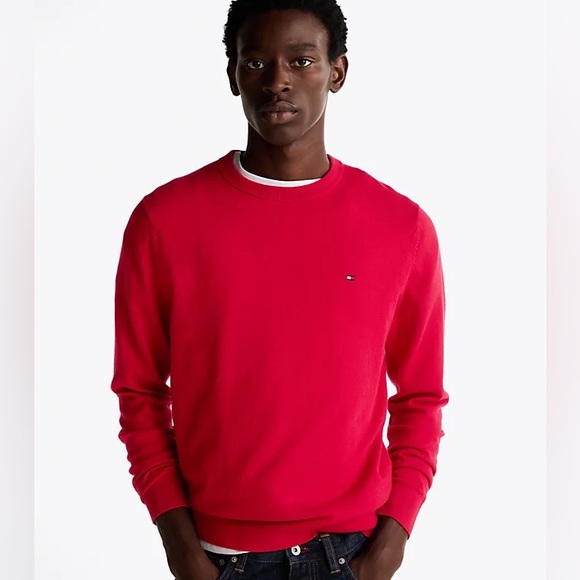 Tommy Hilfiger Men's Premium Flag Embroidery Terry Cotton Sweatshirt Size Large - Picture 7 of 12